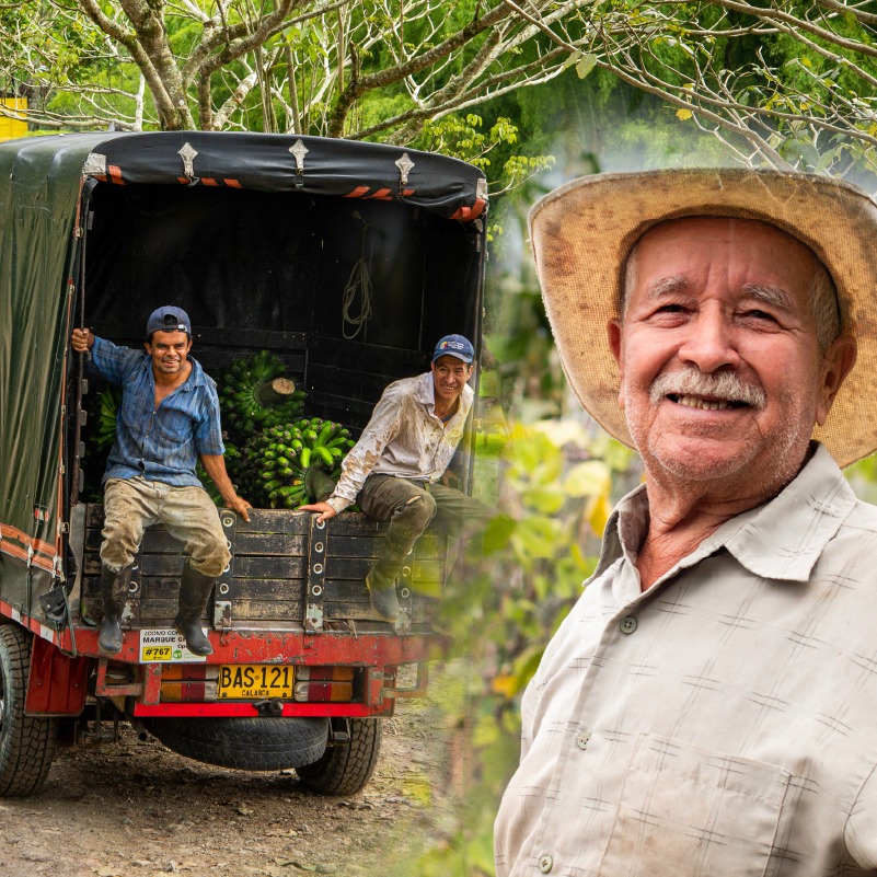 Impacto ambiental agrícola: cultivo y movilización